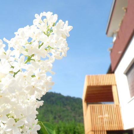 B&B Casa Sul Lago - Appartamenti カルチェラーニカ・アル・ラーゴ 部屋 写真