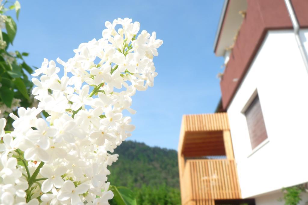 B&B Casa Sul Lago - Appartamenti カルチェラーニカ・アル・ラーゴ 部屋 写真