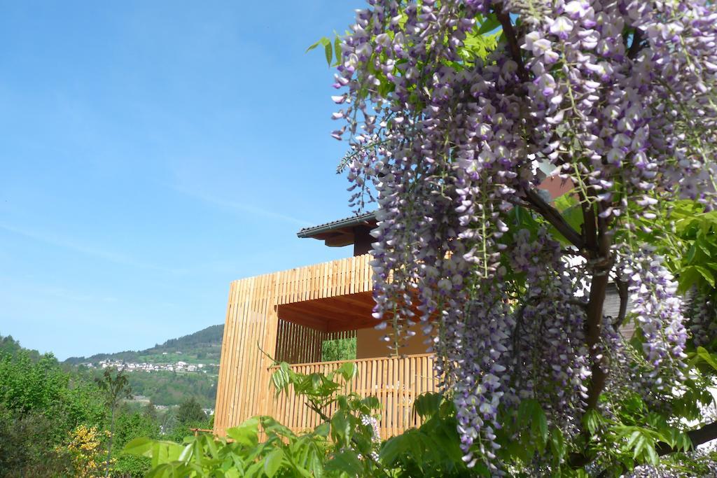 B&B Casa Sul Lago - Appartamenti カルチェラーニカ・アル・ラーゴ エクステリア 写真