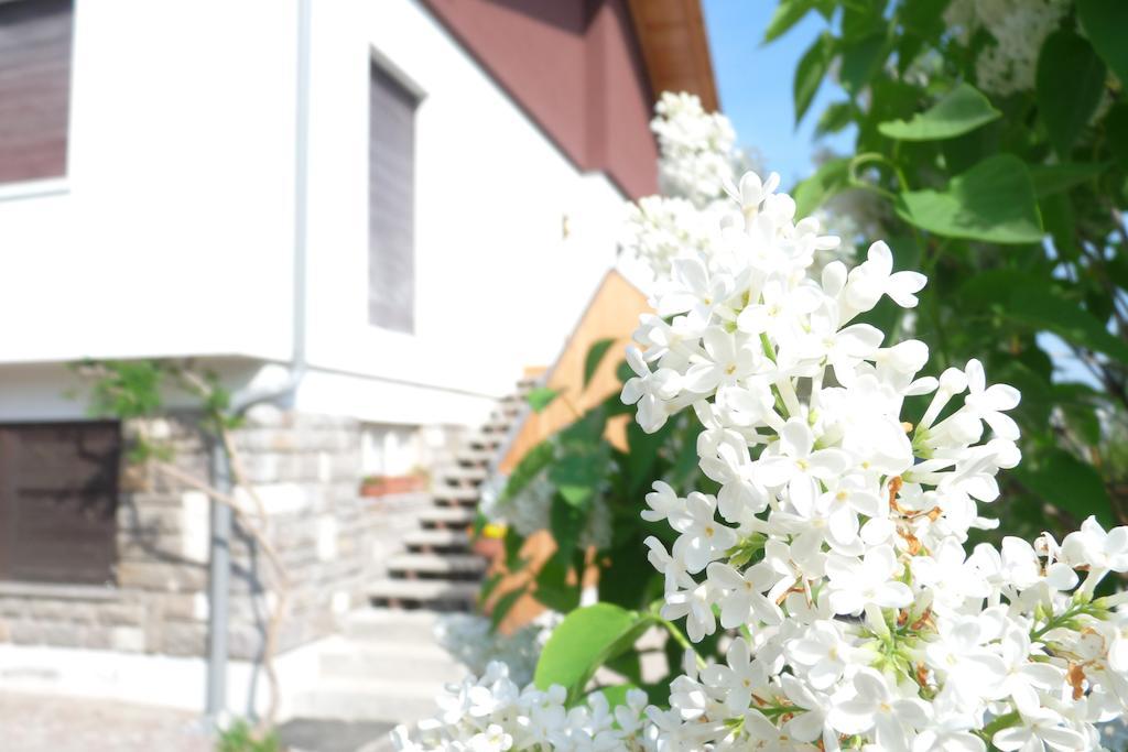 B&B Casa Sul Lago - Appartamenti カルチェラーニカ・アル・ラーゴ エクステリア 写真